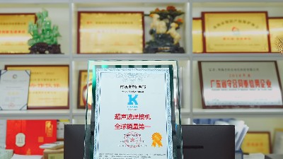 向下扎根的力量：灵科超声波全链垂直整合，铸就“<i style='color:red'>全球销冠</i>”护城河