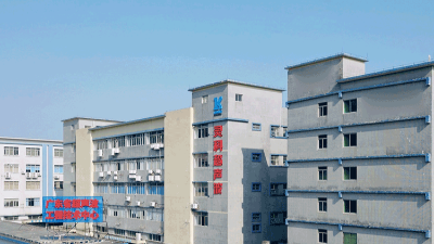 灵科超声波：共舞职场新生态，赋能员工价值成长